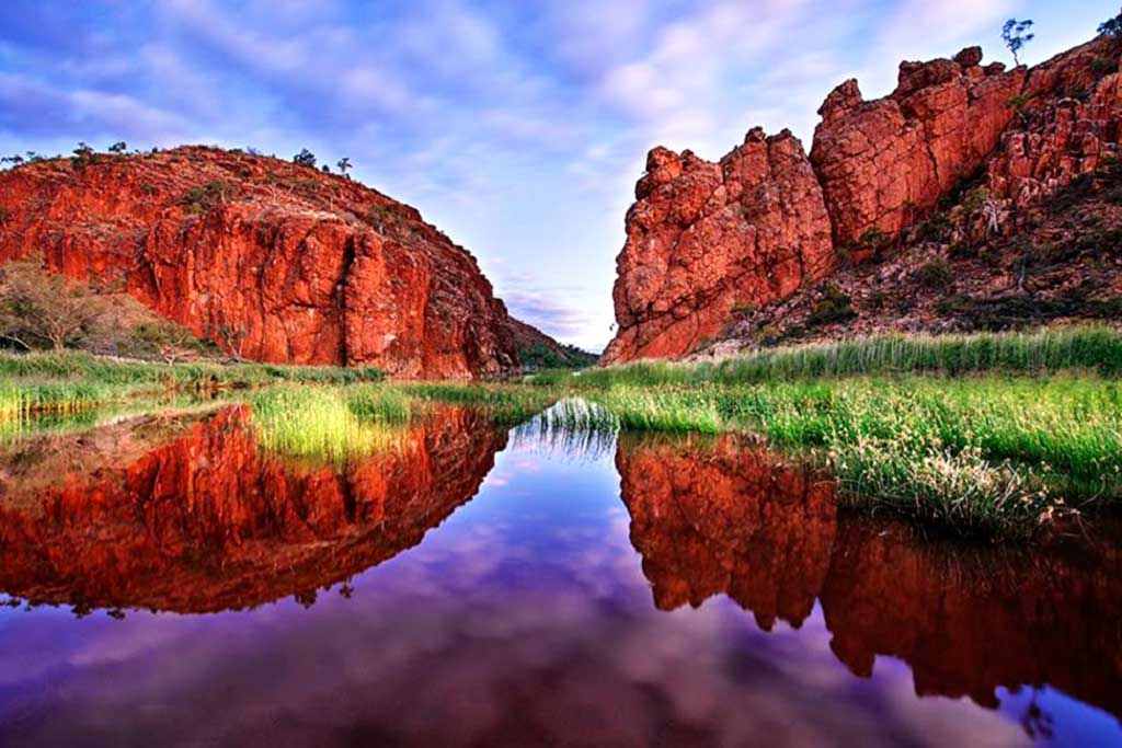 Painting Australian Outback with David Taylor